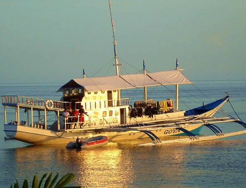 Dive Safaris, last minute special offers