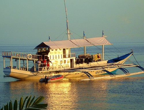 Visayan Dive Safari & Liveaboards new season offers