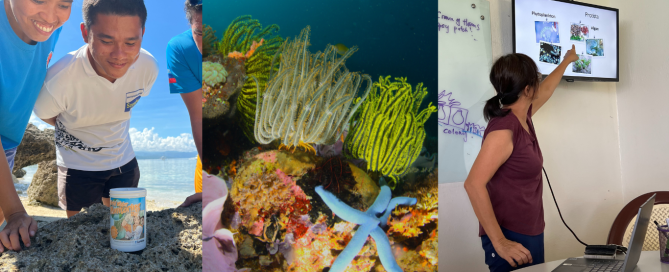 Focus on Coral and Ecology Workshop